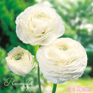 HA iLX h[}[  zCg  7 ty݁IHA̋