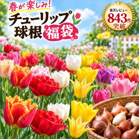 【P5倍エントリーで】 早割 チューリップ 球根 福袋 25球 4品種以上 おまかせセット 秋植え球根 変わり咲き 一重咲き 八重咲き ユリ咲き フリンジ咲き ガーデニング 花壇 プランター 初心者 まとめ買い 3セット以上送料無料 予約品 11月上旬以降発送