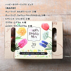 Iׂ3ށII20̂ȋʎ蔠 nbs[zf[~bNX  HA `[bv qVX AE XJ XCZ