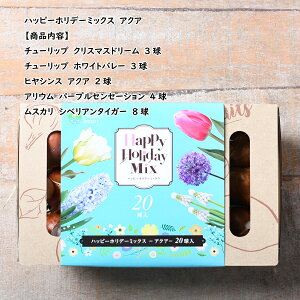 Iׂ3ށII20̂ȋʎ蔠 nbs[zf[~bNX  HA `[bv qVX AE XJ XCZ