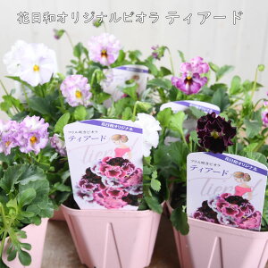 ԓaIWi t炫rI eBA[h y2025N10ׁz 2023Vi ԕc rI K[fjO 񂹐A pW[