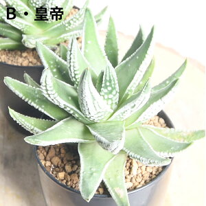 yVׁz nI`A 2.5d|bg v~ c ؋  ڗ yz A ϗtA