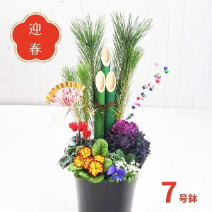 }tReiK[f 叼 }t񂹐A AW ֏y͂1226`1231z