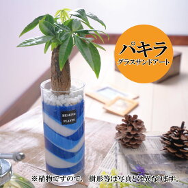 楽天市場 観葉植物 カラーサンドの通販