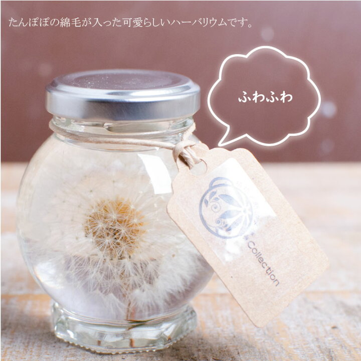 楽天市場】ハーバリウム Herbarium たんぽぽ球体プリザ—ブドフラワーや 
