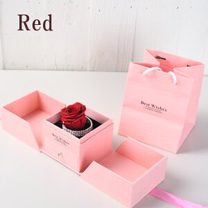 v|[Y vU[uht[  o KN [Y WG[{bNX Nj NX}X w lbNX sAX ANZT[ P[X  LO  a LO v[