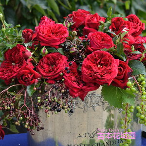 y\iz I oc pubNEhDE}g pubNhD}g fo[ Xj[_[ lG炫 bh   o 6 2025N12{ȍ~