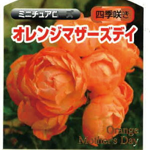 y\z oc IW}U[YfC iIW}U[Yf[j ~j`Ah [Y ~jo n 2N c o KN ΂ 3{ȏő