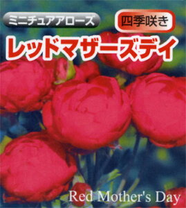 y\z oc bh}U[YfC ibh}U[Yf[j ~j`Ah [Y ~jo Ԍn 2N c o KN ΂ 3{ȏő