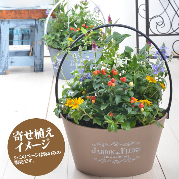 楽天市場 バスケット プランター 鉢 選べる7色 寄せ植え用 花苗用 球根用 におすすめ 苗は含みません 鉢のみです Fleur Town 吉本花城園