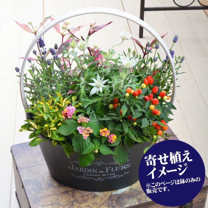 楽天市場 バスケット プランター 鉢 選べる7色 寄せ植え用 花苗用 球根用 におすすめ 苗は含みません 鉢のみです Fleur Town 吉本花城園 楽天市場 バスケット プランター 鉢 選べる7色 寄せ植え用 花苗用 球根用 におすすめ 苗は含みません 鉢のみです Fleur Town 吉本花城園