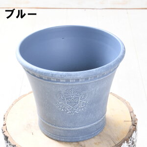 JibN v^[ W_x[VbN FC43  Iׂ锫F 3F 񂹐A   CARNAC