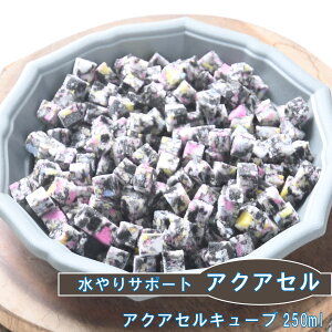 T|[g ANAZ L[u 250ml 1 18O ې z