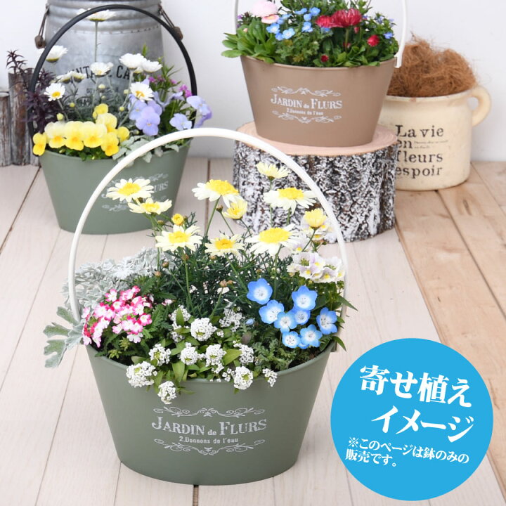 楽天市場 バスケット プランター 鉢 選べる7色 寄せ植え用 花苗用 球根用 におすすめ 苗は含みません 鉢のみです Fleur Town 吉本花城園