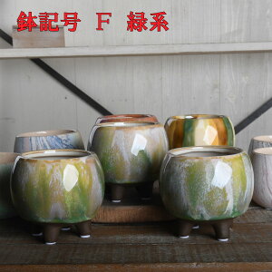 JNgR 픫 Iׂ2 S7F ȃ~jTCY  ϗt T{e