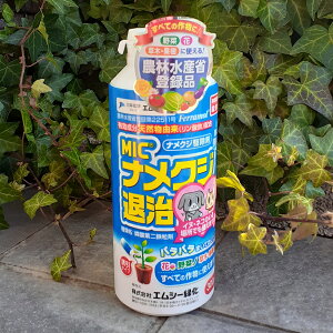 GV[Ή iNWގ 300g {g ybgĂS Jɋ iNW J^c }C}C 