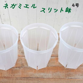 スリット鉢 ネガミエル 4号 透明 NEgamieru 1個 または 3個セット 浅岡園芸 観葉植物 おすすめ 人気の プラ鉢