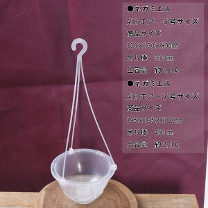 ݂蔫 lK~G GA[ AIR 5 7  1 ܂ 3Zbg NEgamieru ˂`bv 󉪉| ϗtA  lC v JeA |gX tBfh Ȃǂ ϗtA ɃIXX