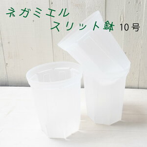 Xbg lK~G 10  1 ܂ 3Zbg NEgamieru ˂`bv 󉪉| ϗtA  lC v JeA |gX tBfh Ȃǂ ϗtA ɃIXX 傫