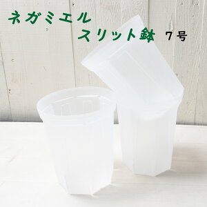 Xbg lK~G 7  1 ܂ 3Zbg NEgamieru ˂`bv 󉪉| ϗtA  lC v JeA |gX tBfh Ȃǂ ϗtA ɃIXX