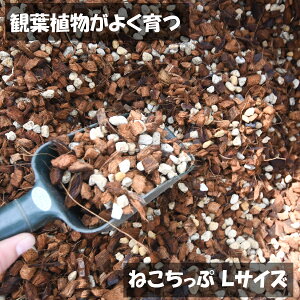 ˂`bviLTCYj 5bg ϗtACɑ傫 b̓y 7ɂ  JeA |gX tBfh Ȃǂ ϗtA ɃIXX