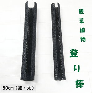 ϗtAɂ ˂̓o_ 50cm 2 ԐX ˂`bv L`bv lK~G Xbg cA |gXtBfh Xe