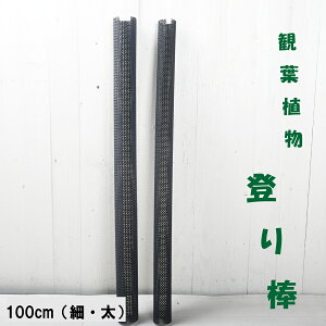 ϗtAɂ ˂̓o_ 100cm 2 ԐX ˂`bv L`bv lK~G Xbg cA |gXtBfh Xe