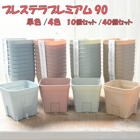 プレステラ プレミアム 90 単色10個セット 4色MIX40個 3号ポット くすみカラー ブルー ピンク グリーン ブラウン 多肉植物 エケベリア サボテン 植え替えに スリット鉢
