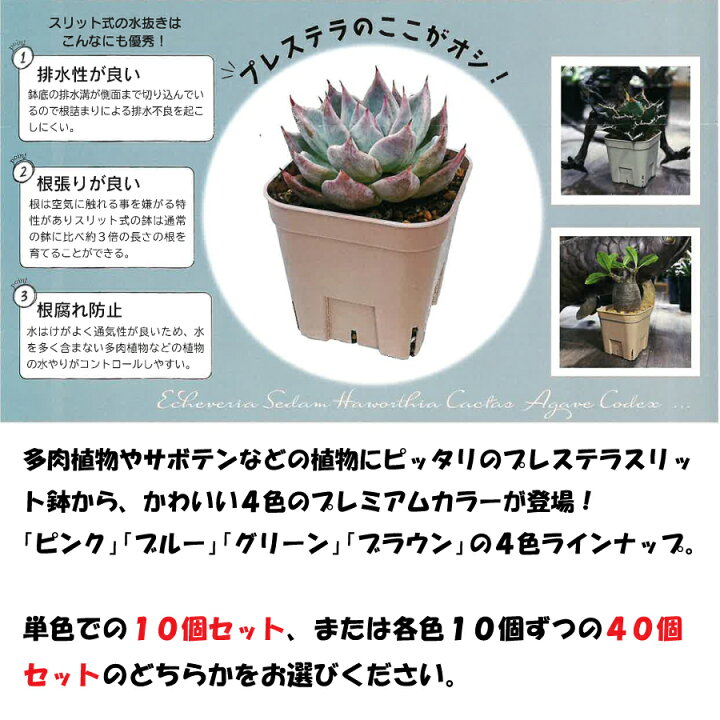 楽天市場】プレステラ プレミアム 90 単色10個セット 4色MIX40個 3号 