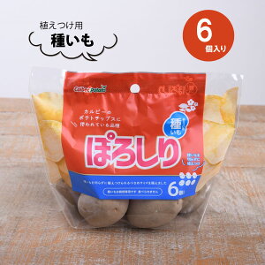 ۂ낵 Jr[ |eg  6 Ⴊ WKC  킢 4963042031776