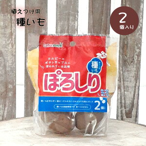 ۂ낵 Jr[ |eg  2 Ⴊ WKC  킢 4963042031646