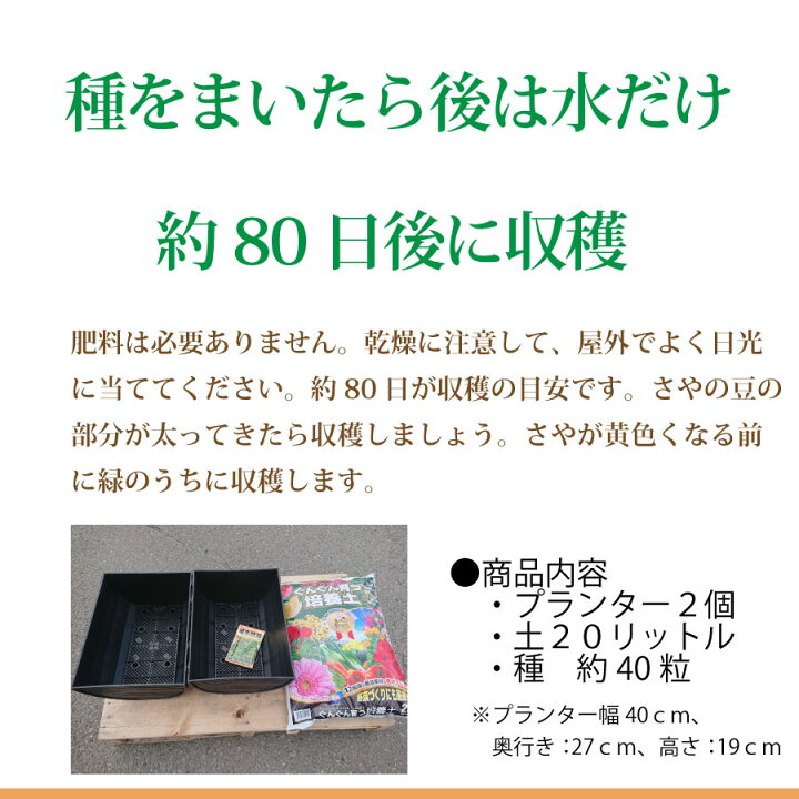 楽天市場 枝豆 栽培セット えだまめ 種 プランター 2個 土 リットル種から育てる 苗 にして収穫を楽しめる 父の日にも Fleur Town 吉本花城園