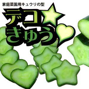 家庭菜園用 キュウリの型 デコきゅう ハート&星のセット きゅうりの型