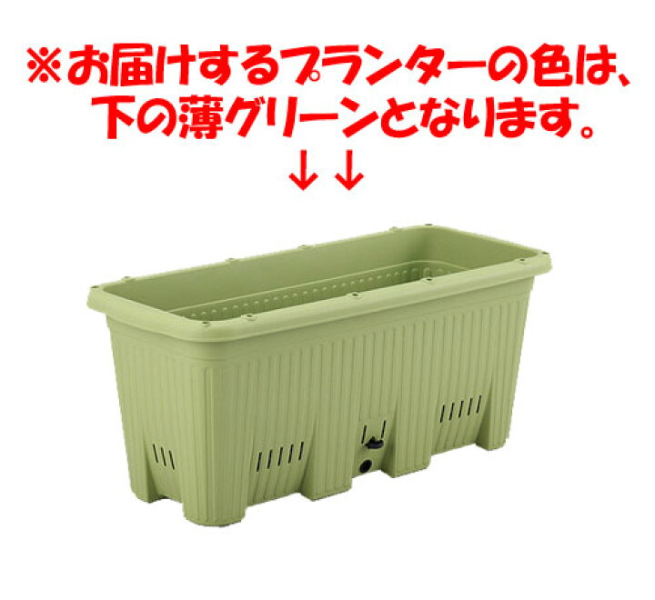 楽天市場 ご予約品 4月中旬以降お届け 楽々ゴーヤー 栽培セット 貯水機能付き プランター ネット付き ゴーヤー苗 2ポット ゴーヤ肥料550g 1袋 ぐんぐん育つ培養土 2袋 Fleur Town 吉本花城園 楽天市場 ご予約品 4月中旬以降お届け 楽々ゴーヤー 栽培セット 貯水機能付き プランター ネット付き ゴーヤー苗 2ポット ゴーヤ肥料550g 1袋 ぐんぐん育つ培養土 2袋 Fleur Town 吉本花城園