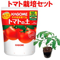 トマト 栽培セット そのまま育てる トマトの土 15L 専用支柱 野菜 品種：マンマミーア トマトの土と苗の…