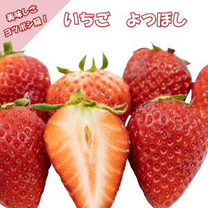 lGȂ  ڂ 3.5|bgc v^[͔| Hn͔| Â lCi C`S 