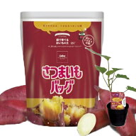 6月12日ごろ出荷分 カルビー さつまいも 栽培セット 袋で育てる おいもの土 さつまいもバッグ 15L さし苗…