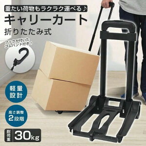 L[J[g ܂肽  nfBJ[g AEghA ω׏d30kg y   RpNg VbsOJ[g  2 LX^[ ג߃S