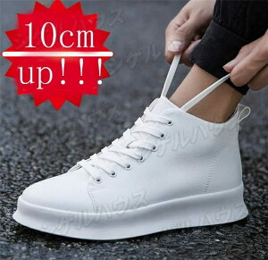 ̓Mtg10cmgUP@wȂC@@Xj[J[@u[c@Y@JWA@V[Y@V[NbgV[Y@YV[Y@bV@H~@ʋC@Cq[V[Y