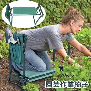 K[f`FA | Ƒ ƈ֎q |Ɨp K[f`FA GK[f ȉGx` ܂肽 K[fj[[x` ނ  | K[fjO t 