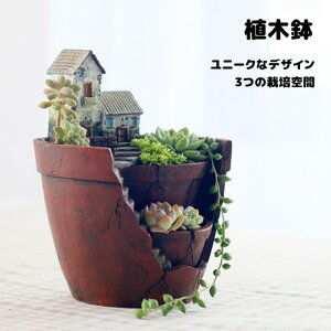 Aؔ v^[   RPE ۃE    T{e A 񂹐A u CeA 킢  eE e  K[fjO ObY G M 