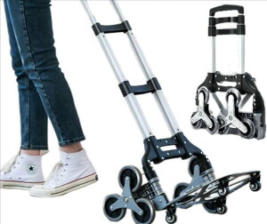 A~jE ܂肽 nhgbN 3 c[J[g i Ki~ Ζʂłڂ Xebv J[u y É ω׏d75kg  L[J[g z Œ胍[vt 