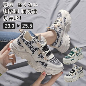 Xj[J[fB[X ^C y  Vv Ȃ  Ռz ʋCQ ~ jO V[Y WMOV[Y X|[c t@bV EH[LO ʊw 