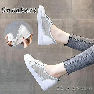 Xj[J[ C fB[X  Cq[ Xj[J[ [Jbg Cq[ 5cm q[ [XAbv ₷ Xj[J[ fB[XXj[J[  Xj