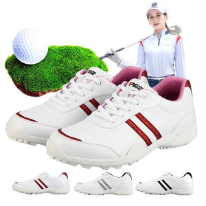 StV[Y y fB[X XpCNX V[Y StC fB[X X|[cV[Y jOV[Y ₷  _炩 Q̒ʋC