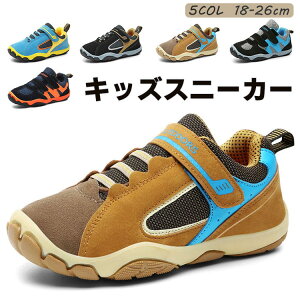 LbY C Xj[J[ j̎q ̎q 16.5cm WjA V[Y qC X|[c V[Y AEghA jO ^C {[CY y EH[LOV[Y t  H ʋC h ʉ ʊw 