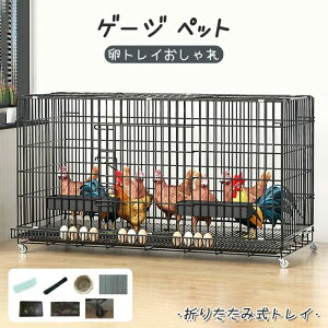 Q[W ybg T[N {@ybgP[W ybg T[N ܂肽ݎgC@gC nEX@@x_ 120*50*65cm 6~8Ȟ{ɓKĂ