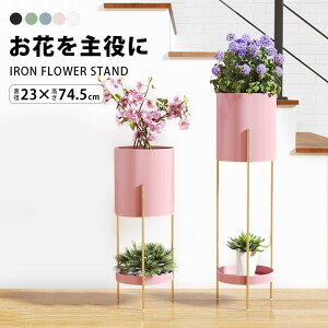 ԑ  I t[X^h   v^[X^h ACA ϗtA I 2i S[h  zCg sN   X t[ bN |bg X^h v^