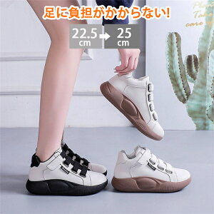 Xb| fB[X  fB[X V[Y O Xj[J[ fB[X Xb|  nCJbgXj[J[  RtH[gV[Y L EI[LOV[Y 