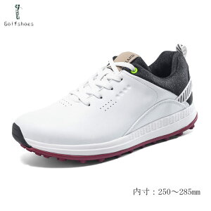 StV[Y Y XpCNX Xj[J[  傫TCY 28.5cm L 4E XpCNX tBbg V[Y St y ₷ h ϋv K rWlX^ u[c a